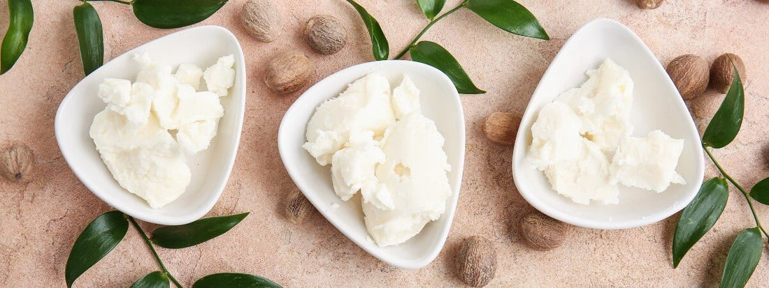 benefits of shea butter blog picture